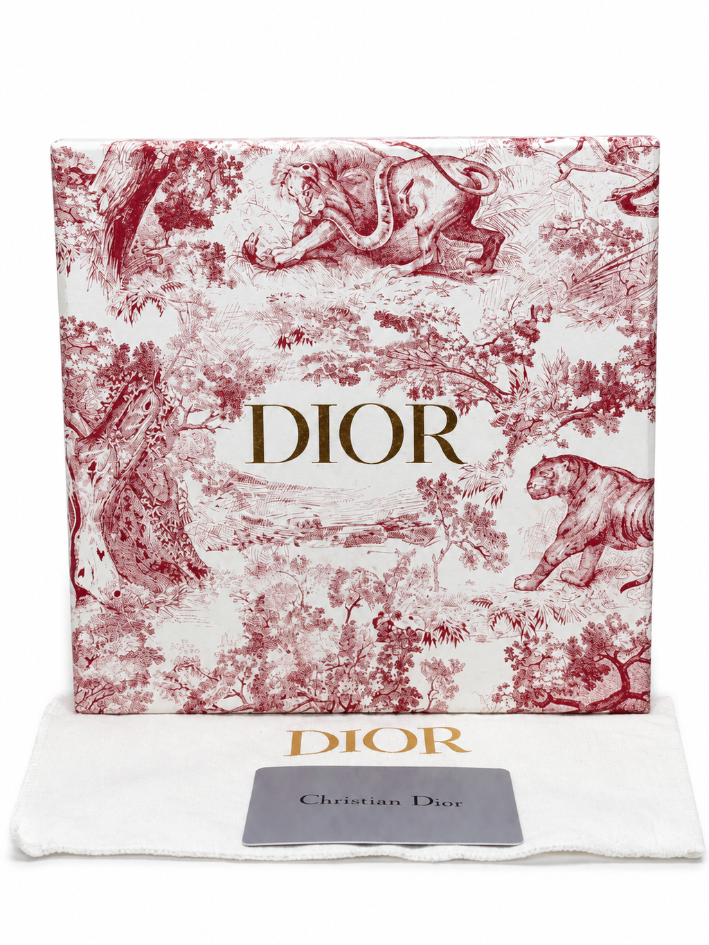Dior Saddle Long Wallet On Chain