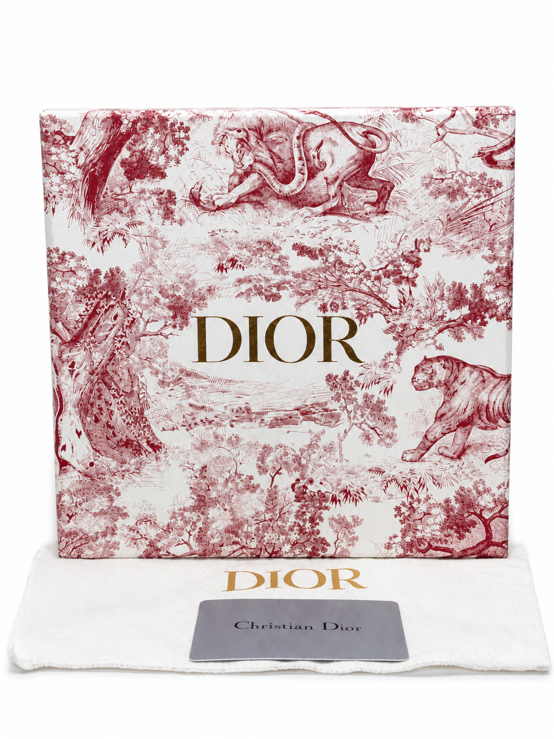 Dior Saddle Long Wallet On Chain